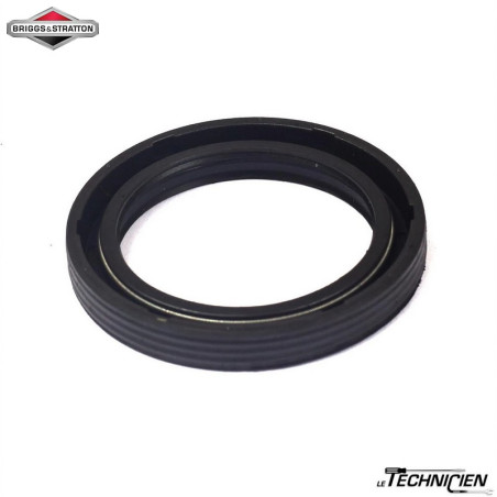 Briggs & Stratton 291675S Bague d'Étanchéité