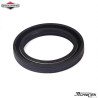 Briggs & Stratton 291675S Bague d'Étanchéité