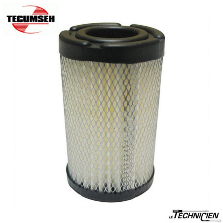 Tecumseh 35066 Filtre à Air