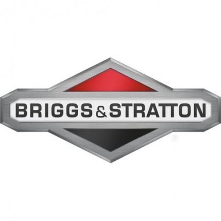 Briggs & Stratton parts lot