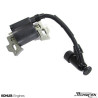 Kohler 1458416 Module d'Allumage